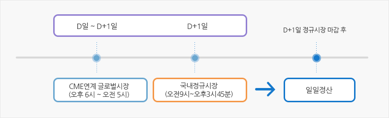 일일정산 예시